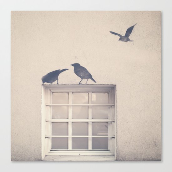 Let me be a bird in your window - vintage retro, beige cream, urban, black and white photography Canvas Print