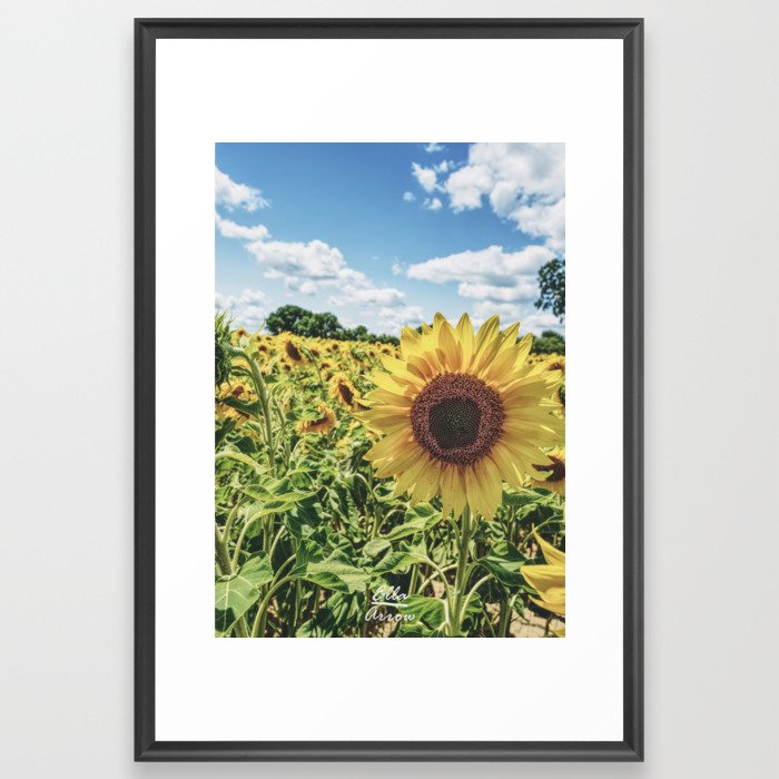 Say Hi (sunflower, summer, farm) Framed Art Print