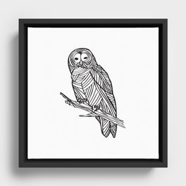 Barred Owl Framed Canvas