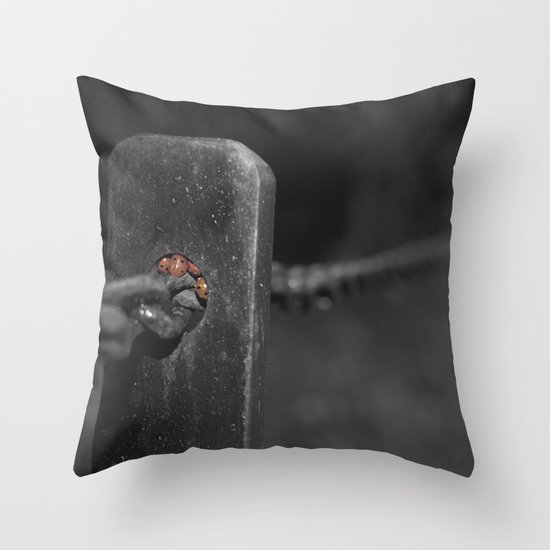 shelter from the storm... Throw Pillow
