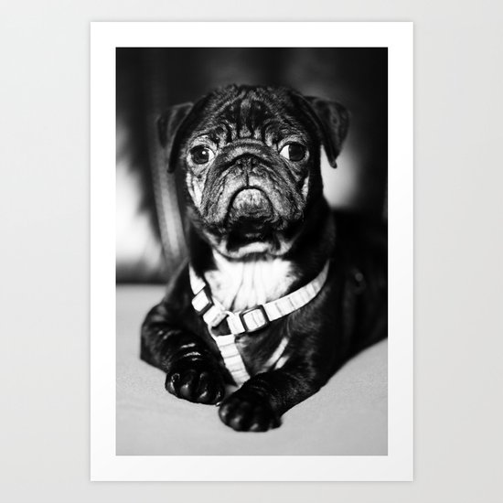 Pug Art Print