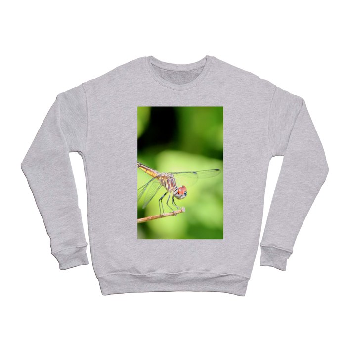 Dragon Fly 3 Crewneck Sweatshirt