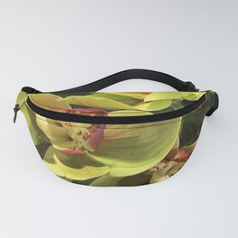 Exotic Tropical Pastel Green Orchids  Fanny Pack