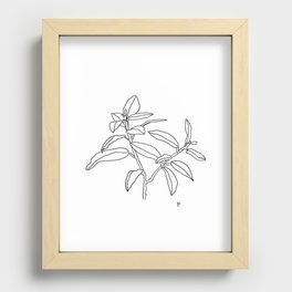Branch (Black and White)  Recessed Framed Print