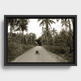 Tonga Dog Framed Canvas
