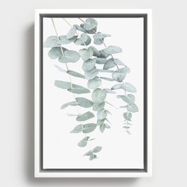 Eucalyptus II Framed Canvas