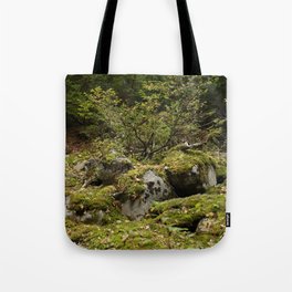 Mossy Rocks Tote Bag