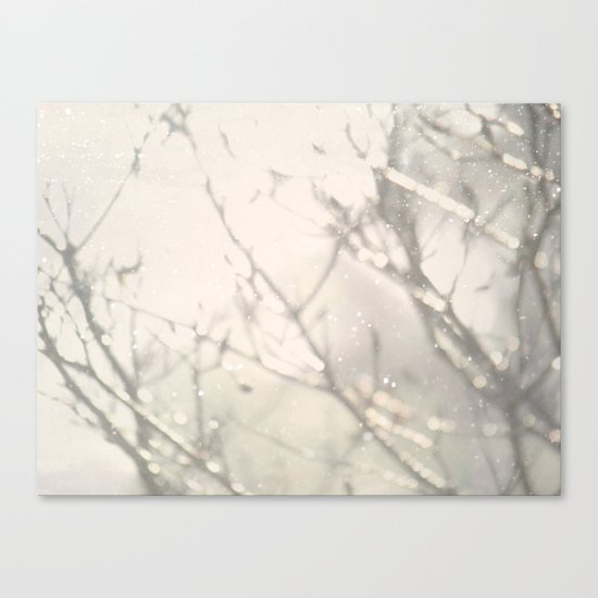 Winter Light Canvas Print