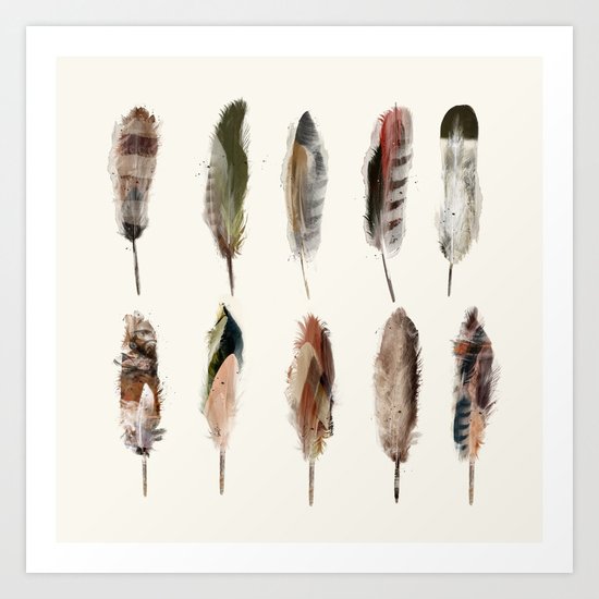 nature feathers Art Print
