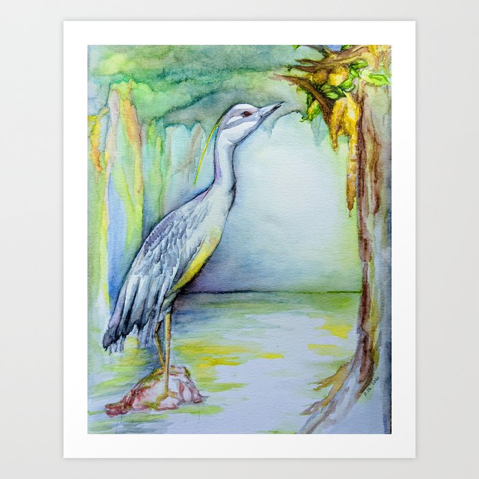 Night Heron Art Print