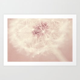 Dandelion Print - Pink Floral - Nursery decor - Pastel Flower photography - Elegant Floral Print Art Print