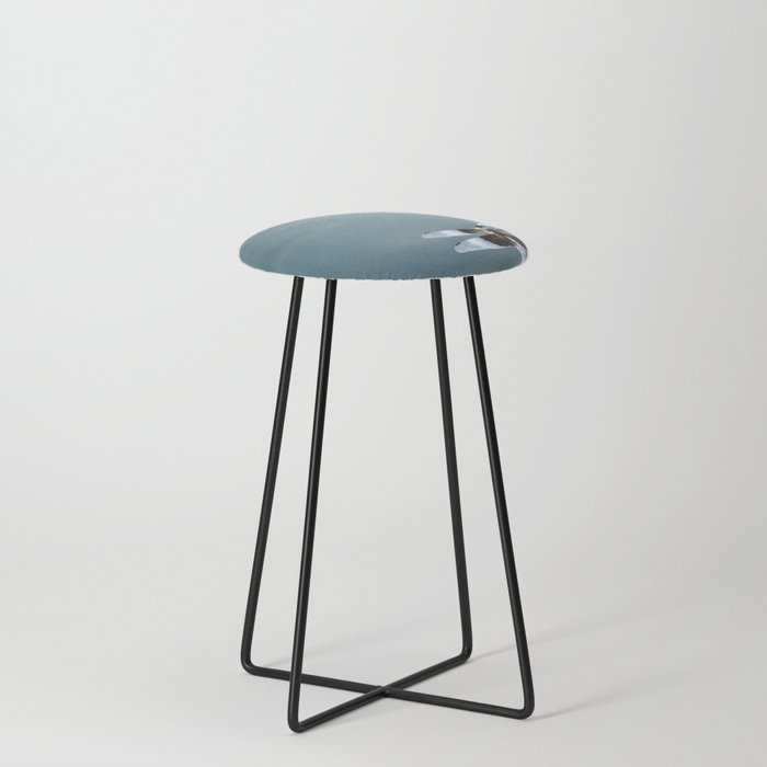 Dragonfly Counter Stool