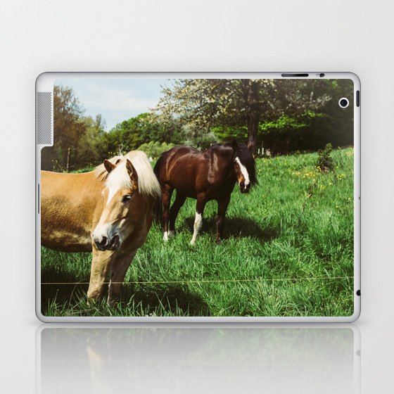 Horses in Pasture | Rural Spring Landscape, Pony Photo | Animal Photography Laptop & iPad Skin