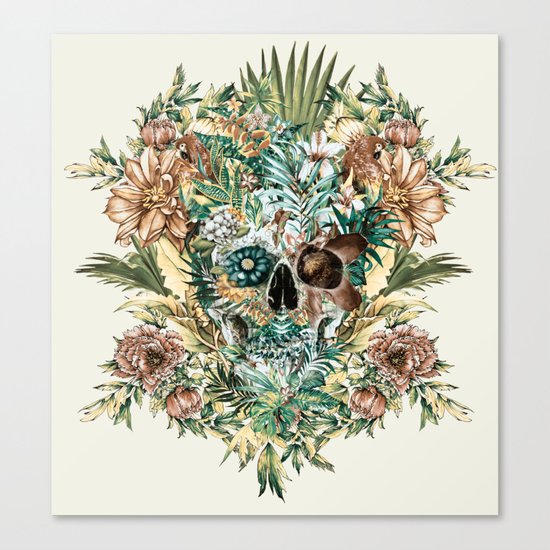 Skull IV Canvas Print