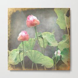 Asiatic Flowers in Pale Pink Metal Print | Nature, Photo, Vintage 