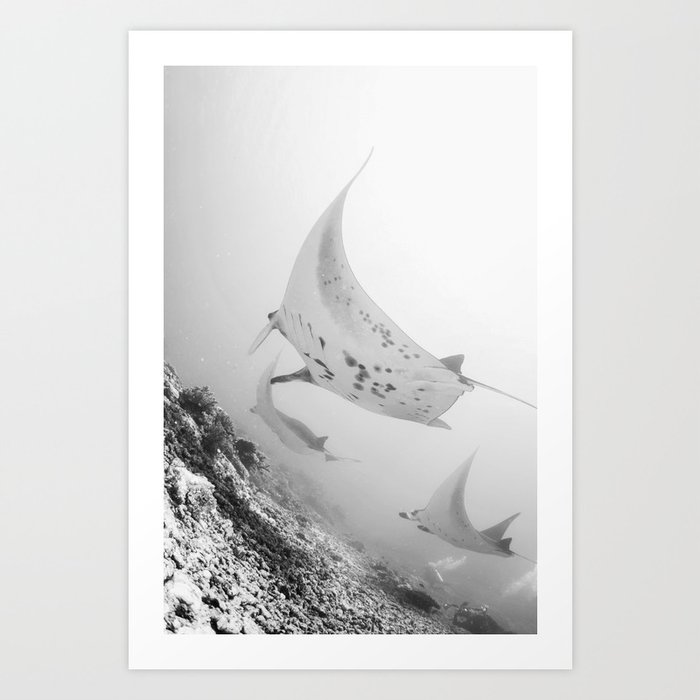 The Mantas' Flight Art Print
