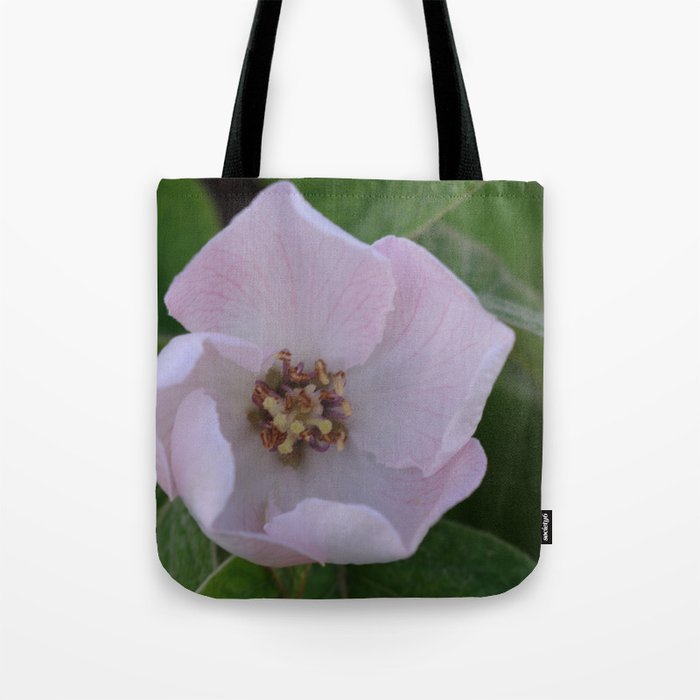 Quince tree flower Tote Bag
