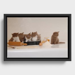 Cute kitten digital art  Framed Canvas