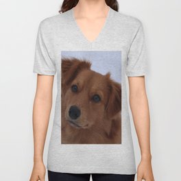 Cute Brown Dog V Neck T Shirt