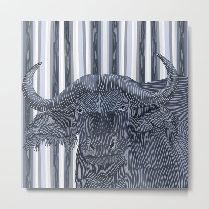 African buffalo  Metal Print