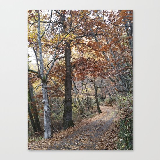 Into the fall woods. Yesterday Canvas Print