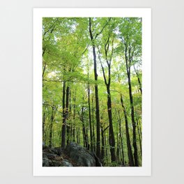 The Green Forest Art Print