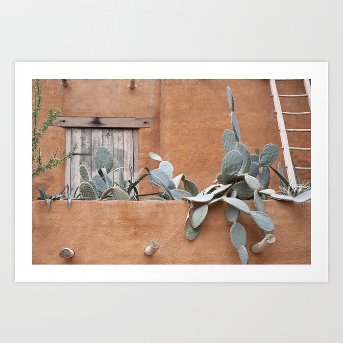 Botanical rooftop cactus - terra cotta mexico cacti - nature and travel photography Art Print