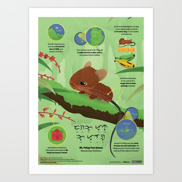 Mt. Pulag Tree-mouse Art Print