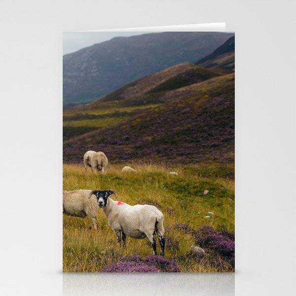 Braemar Sheep Stationery Cards