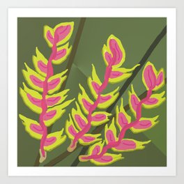 Pink & Green Lobster Claw/Heliconia Art Print