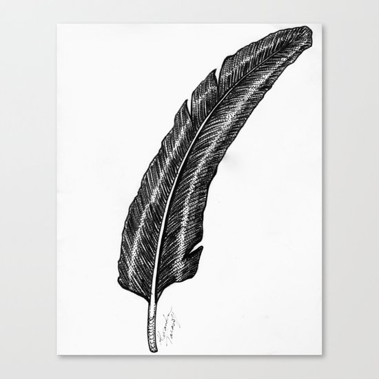Raven Feather Canvas Print