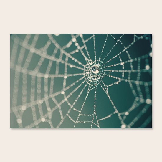 Spiderweb Canvas Print