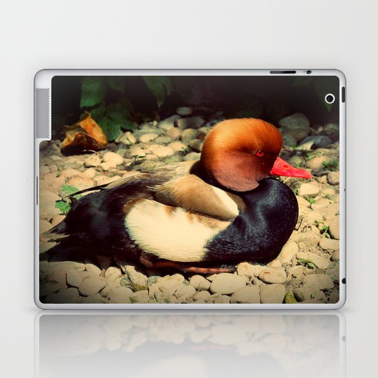 Very serious duck Laptop & iPad Skin