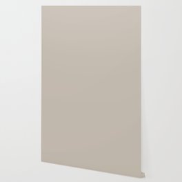 Soft Neutral Warm Gray Greige Solid Color Pairs PPG Ashen PPG1023-3 - All One Single Shade Colour Wallpaper