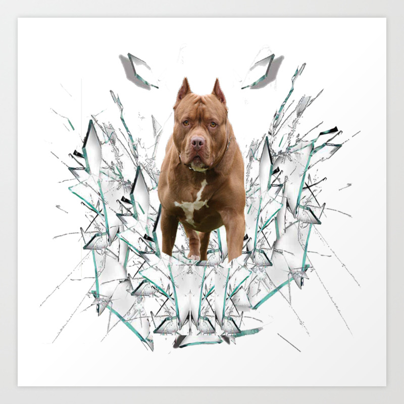 society6