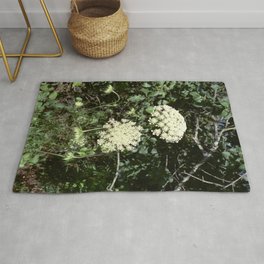 Queen Anne's Lace II Rug