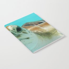 Mexico Photography - Sea Turtle In The Beautiful Water Notebook