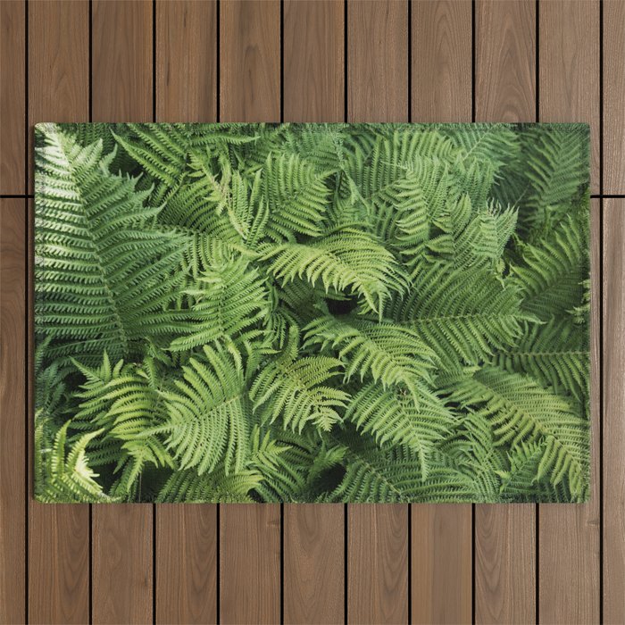 Fern Leaves Photography Outdoor Rug
