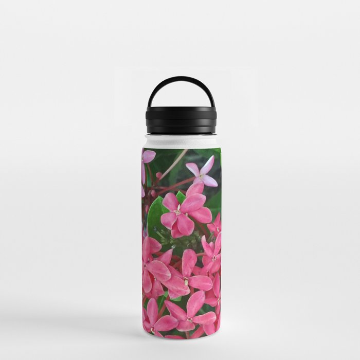 Mexico Photography - Pink Flowers Surrounded By Leaves Water Bottle