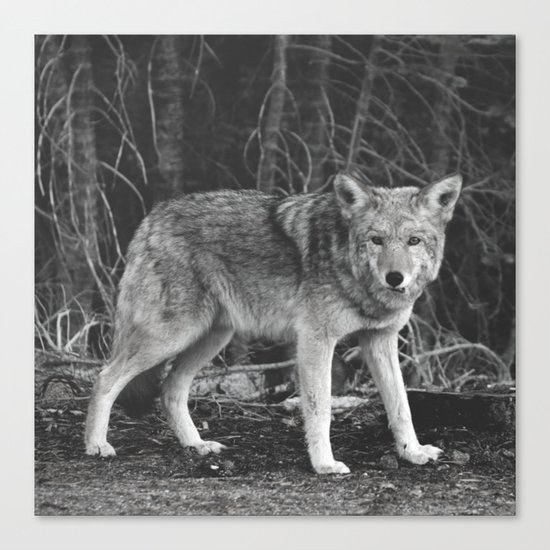 Mighty Wolf (Black & White) Canvas Print