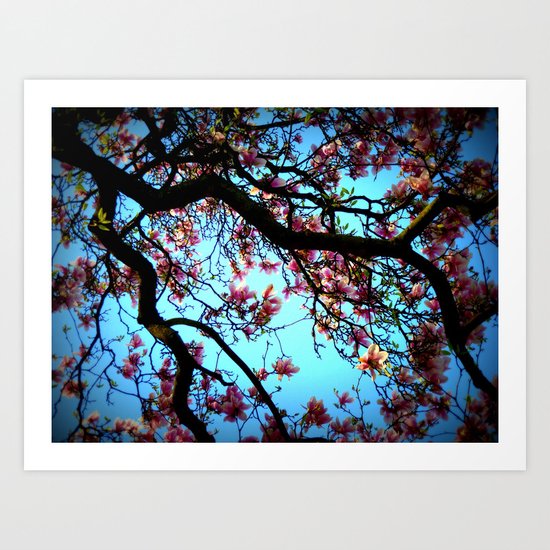 La Magnolia Art Print
