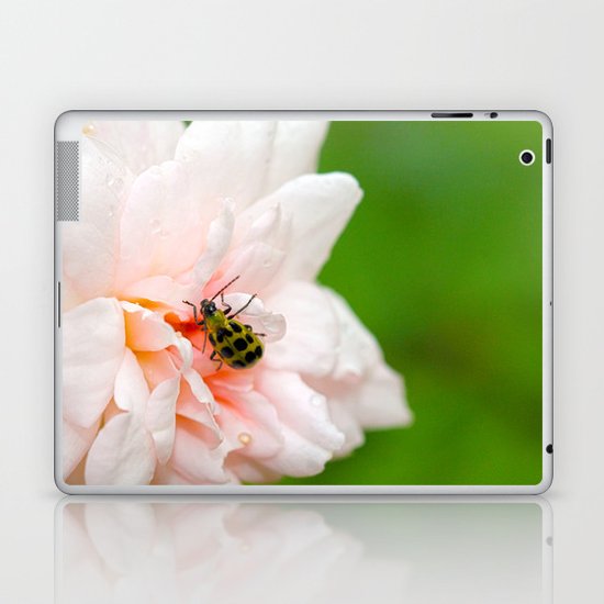 Cucumber Beetle Winter Rose Laptop Ipad Skin By
