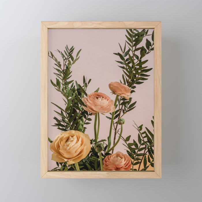 Ranunculus Framed Mini Art Print