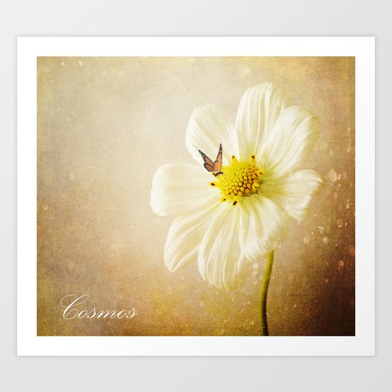 Cosmos Art Print