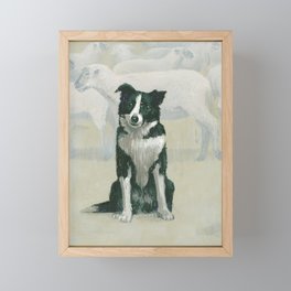 border collie herding dog Framed Mini Art Print