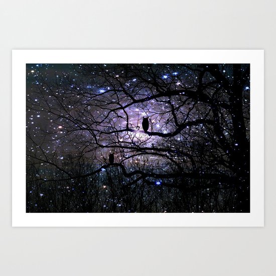 Night Owl Art Print