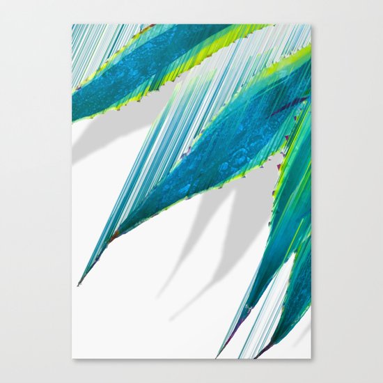 The soaring flight of the agave Canvas Print