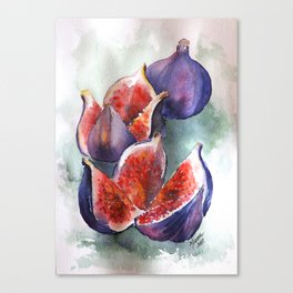 Fig Watercolor Fruits Canvas Print