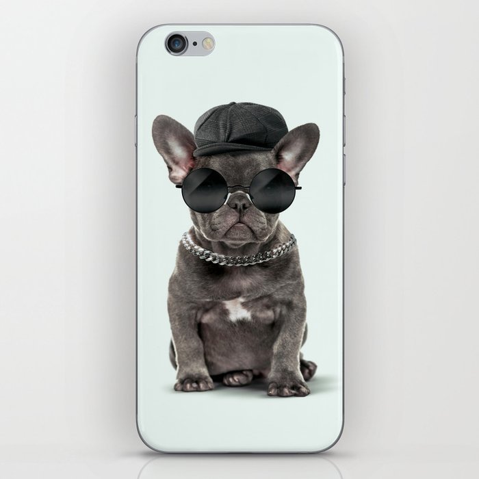 Fashion Dog iPhone Skin