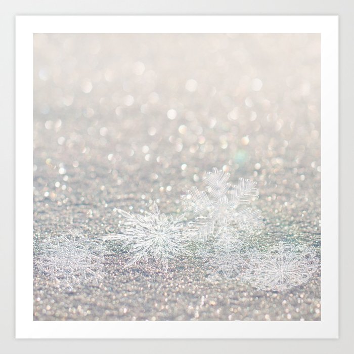 Winter Photography - Snow Falling Onto Ground Art Print